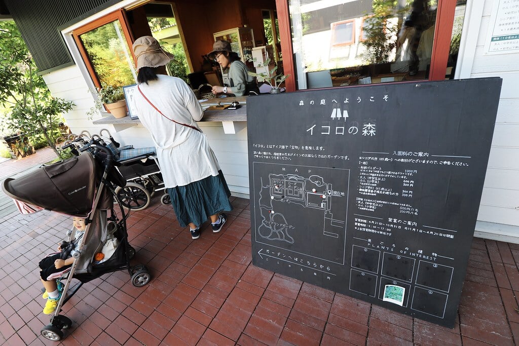 イコロの森の写真 ©MIKI Yoshihito. (#mikiyoshihito)(CC BY 2.0)