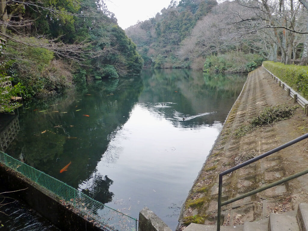 散在ガ池森林公園の写真 ©nyanchew(CC BY 2.0)