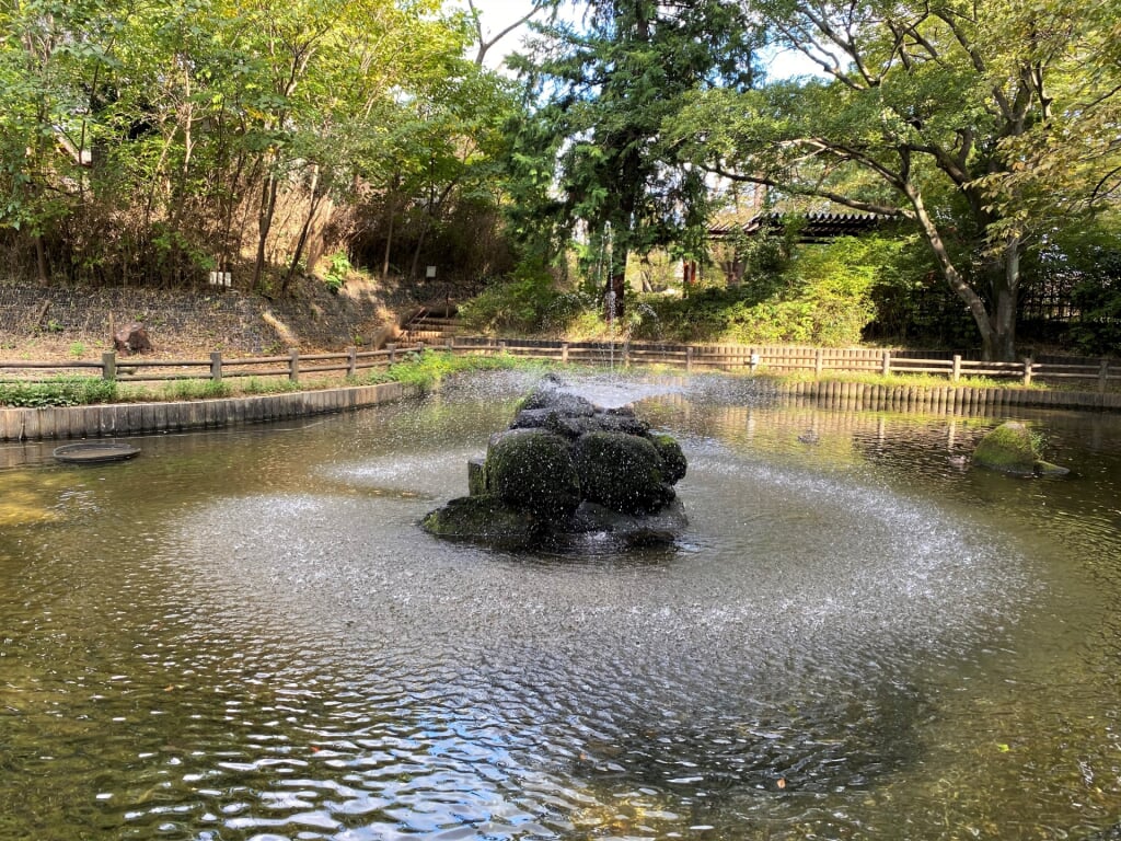 与野公園の写真 