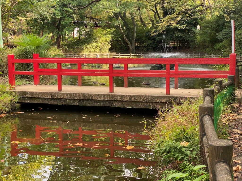 与野公園の写真 