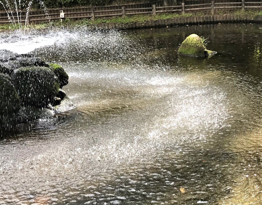 与野公園の写真 