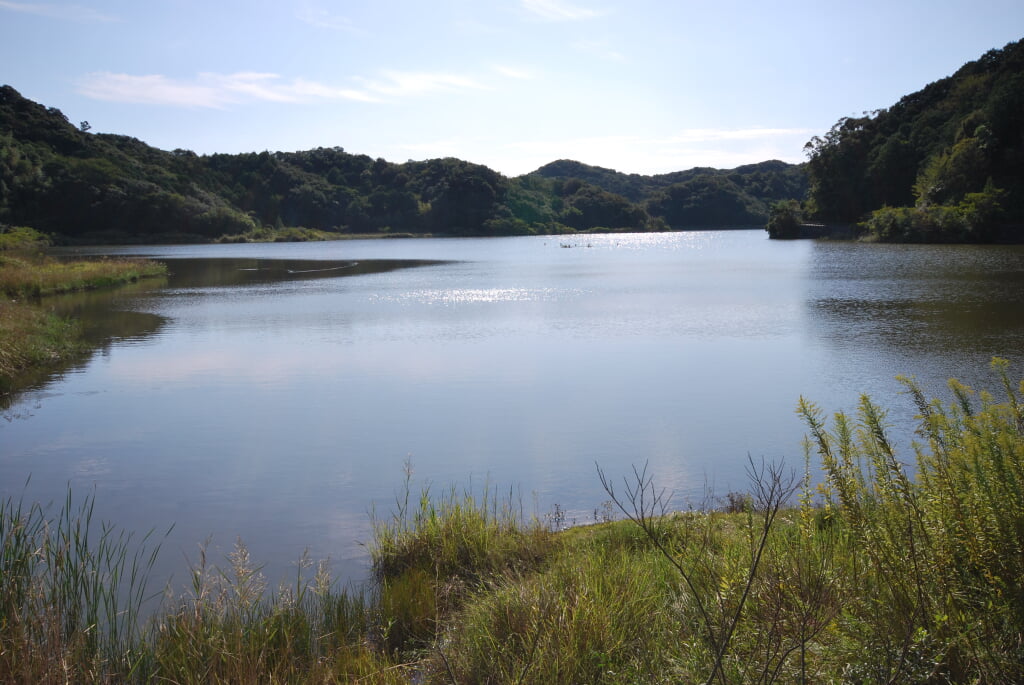 海老ヶ池の写真 ©Reggaeman(CC BY-SA 3.0)