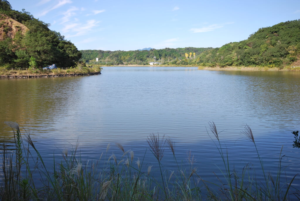 海老ヶ池の写真 ©Reggaeman(CC BY-SA 3.0)