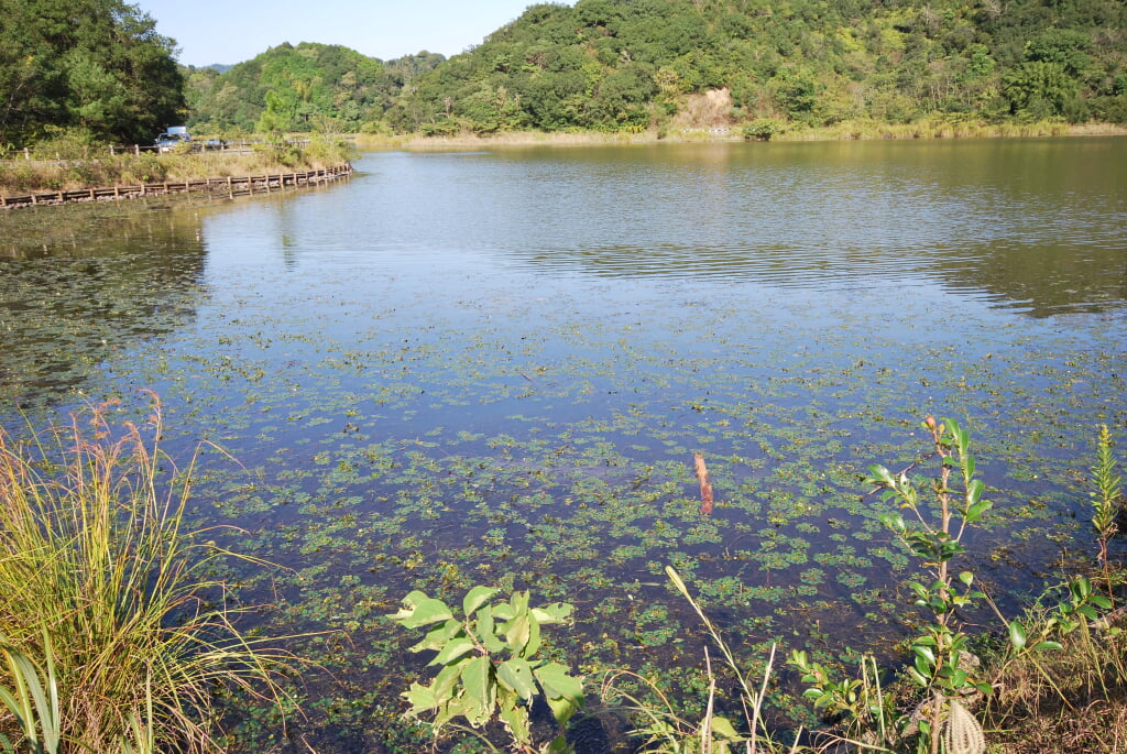海老ヶ池の写真 ©Reggaeman(CC BY-SA 3.0)