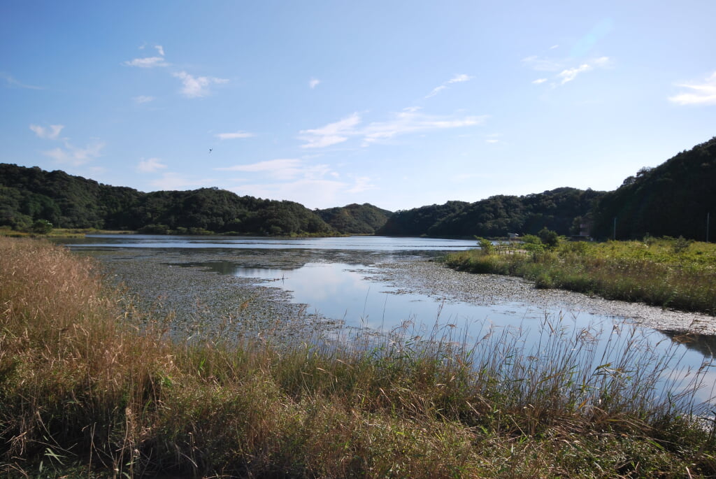 海老ヶ池の写真 ©Reggaeman(CC BY-SA 3.0)