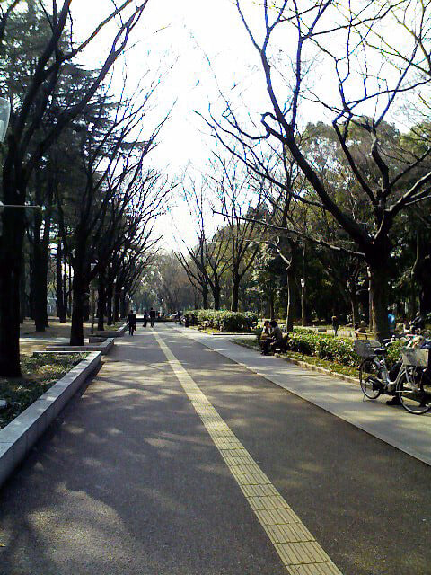 靭公園の写真 ©talblesalt(CC BY 2.0)