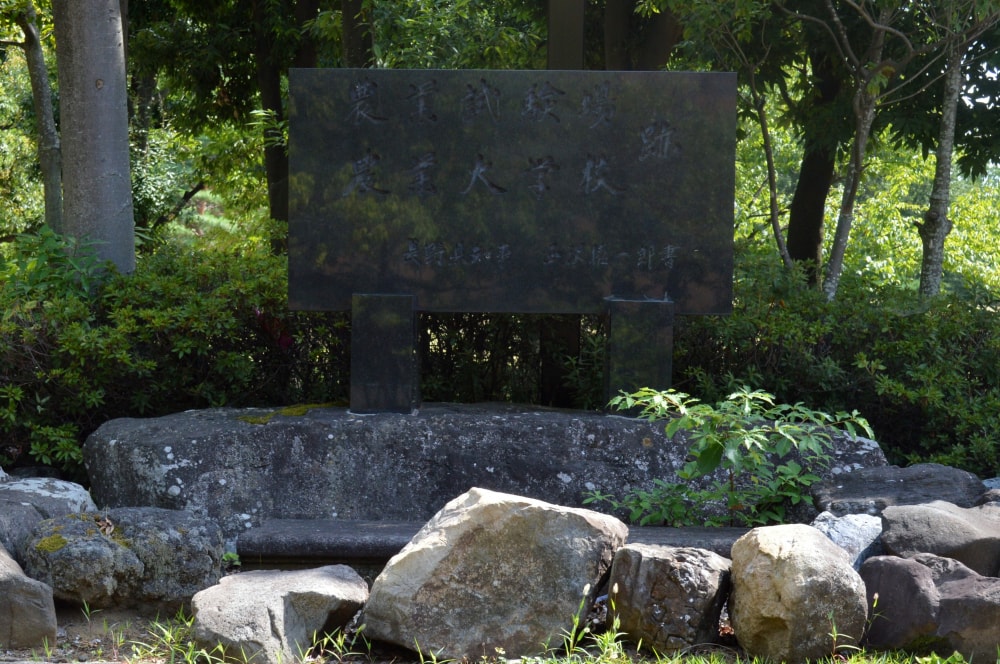若里公園の写真 ©Asturio(CC BY-SA 4.0)