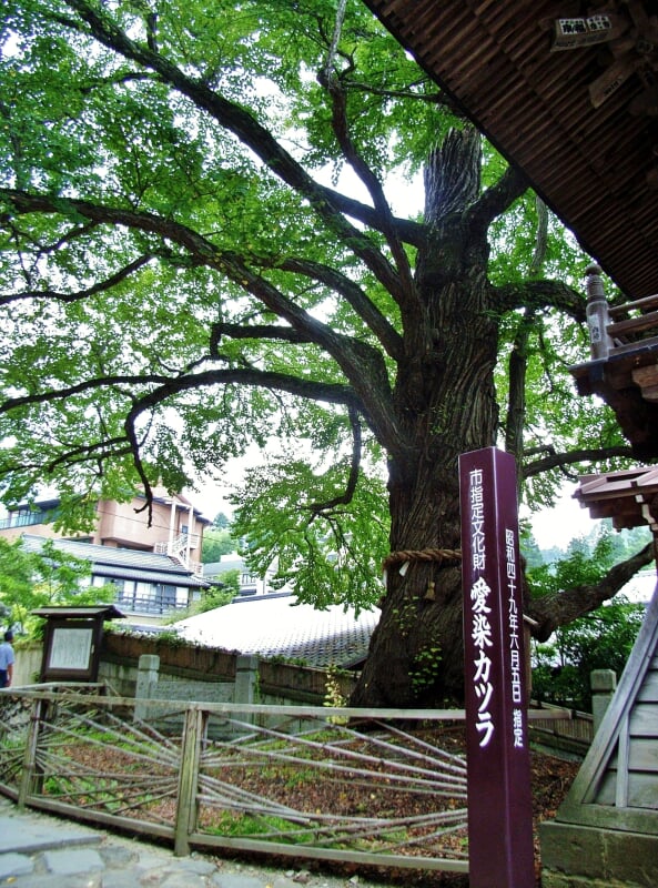 北向観音の写真 ©Kuruman(CC BY 2.0)