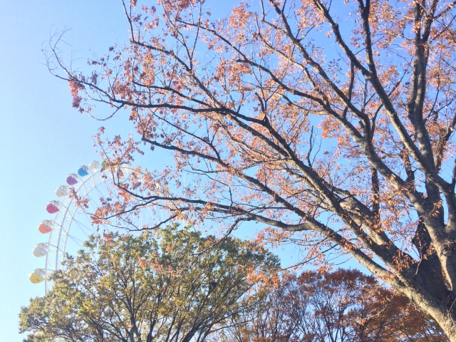 よみうりランドの写真 