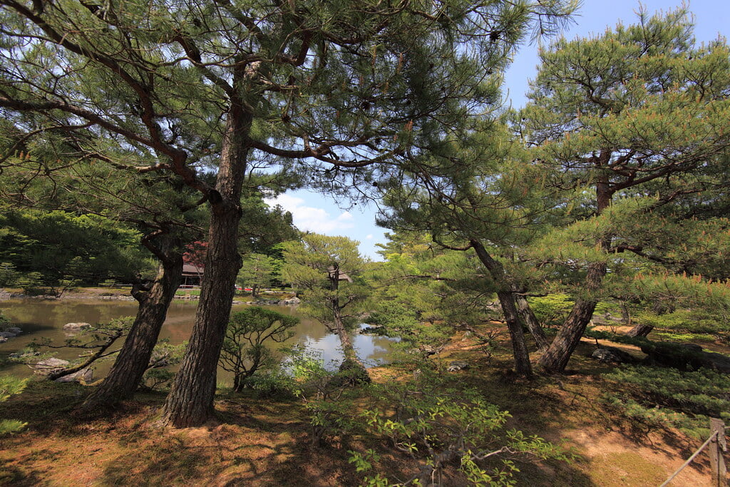 浄楽園の写真 ©TANAKA Juuyoh (田中十洋)(CC BY 2.0)