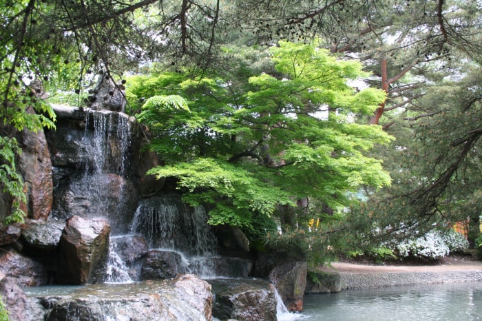 松ヶ池公園（白つつじ公園）の写真 写真提供:山形県長井市