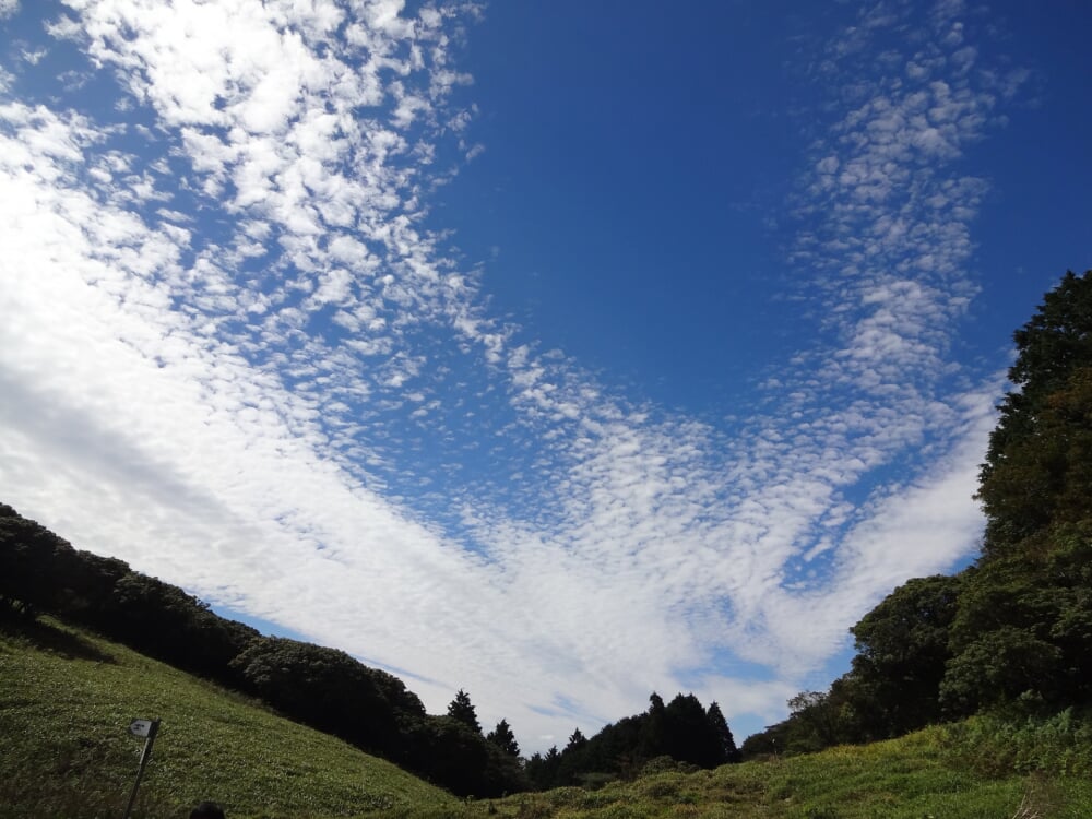 入道ヶ岳の写真 