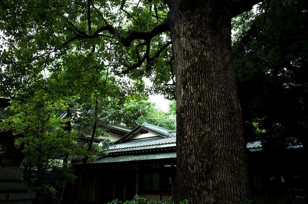 王子神社の写真 ©t-miki(CC BY-ND 2.0)