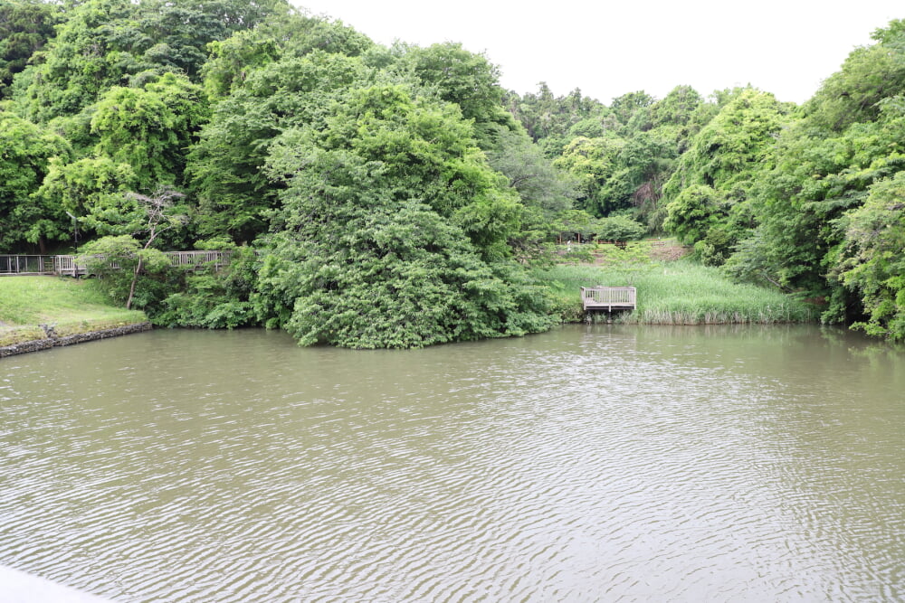 夫婦池公園の写真 