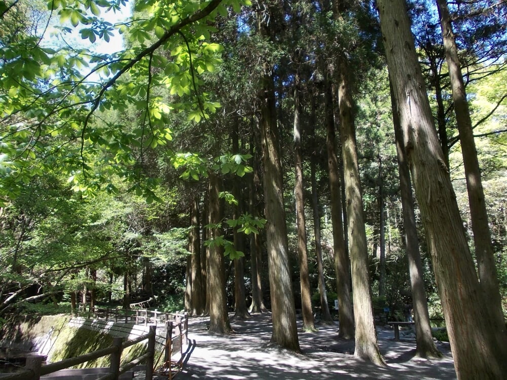 池山水源の写真 ©STA3816(CC BY-SA 3.0)