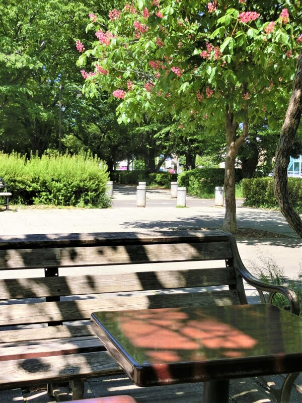 太尾堤緑道の写真 