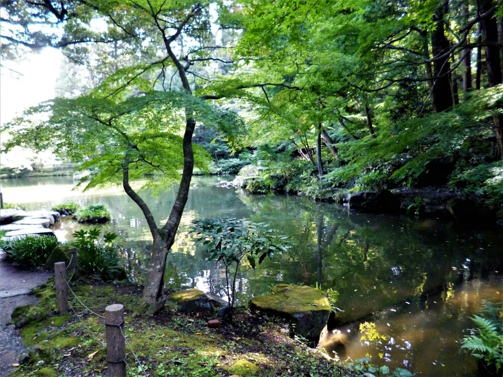 成田山公園の写真 