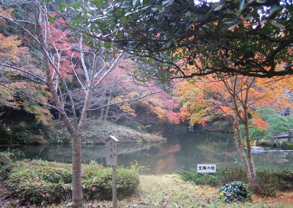 成田山公園の写真 