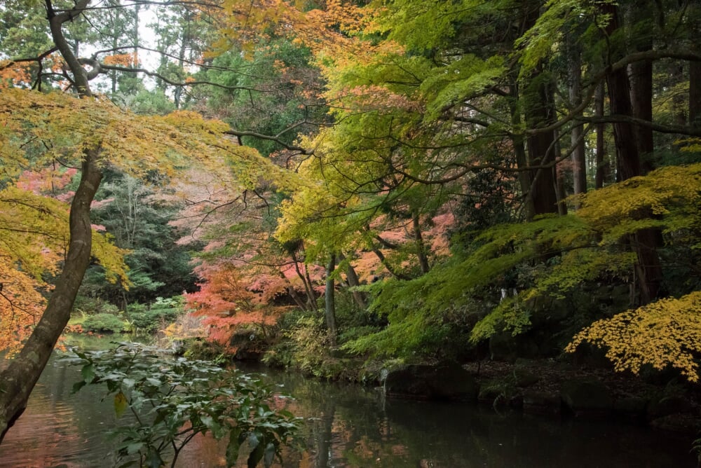 成田山公園の写真 