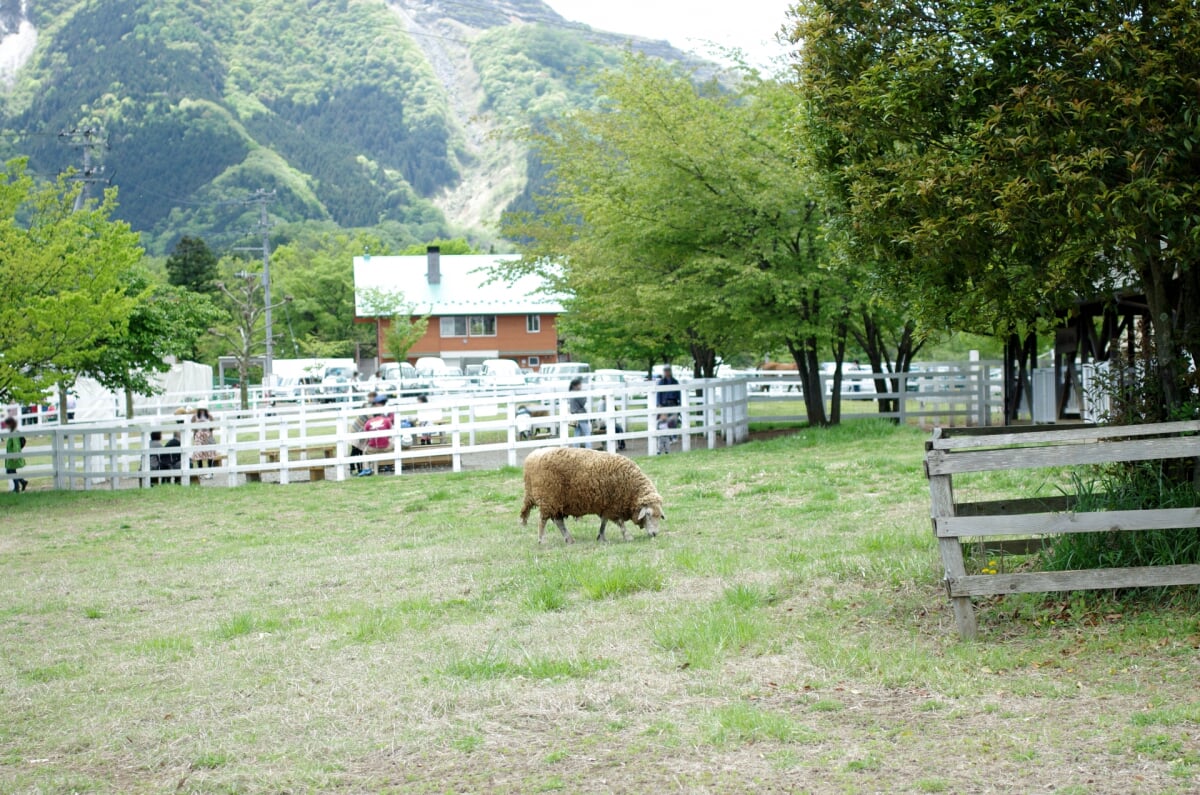 羊山公園の写真 