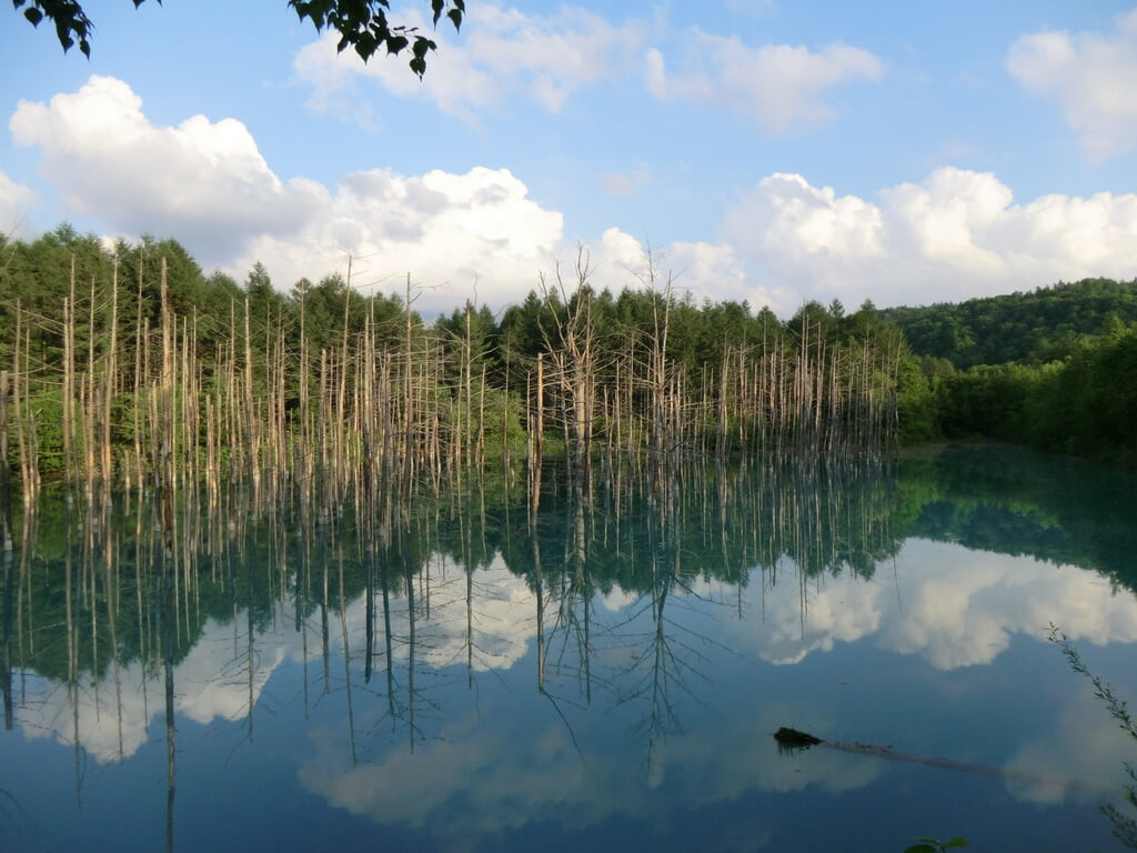 白金青い池の写真 ©briska8(CC BY 2.0)