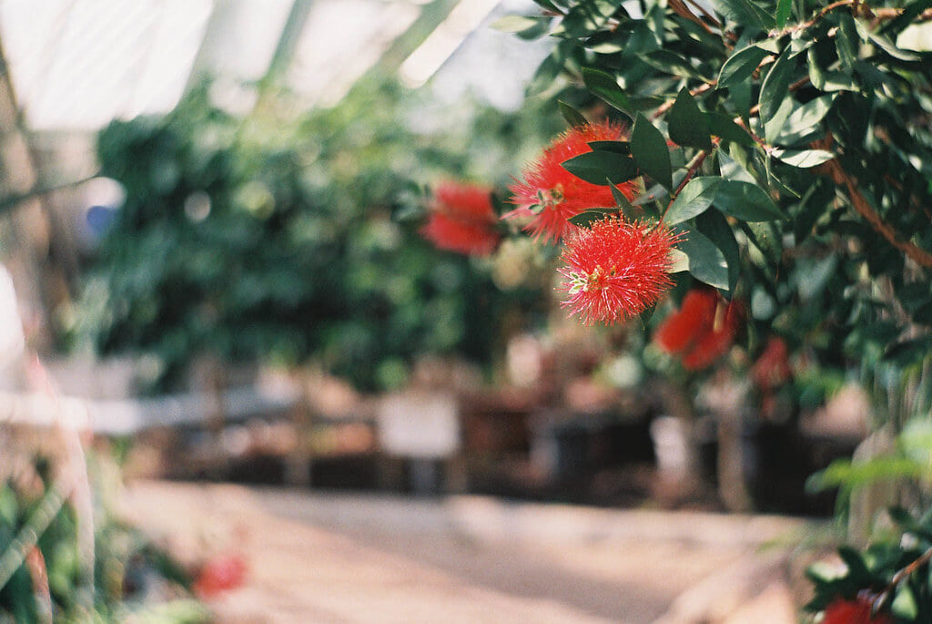函館市熱帯植物園の写真 ©sabamiso(CC BY 2.0)