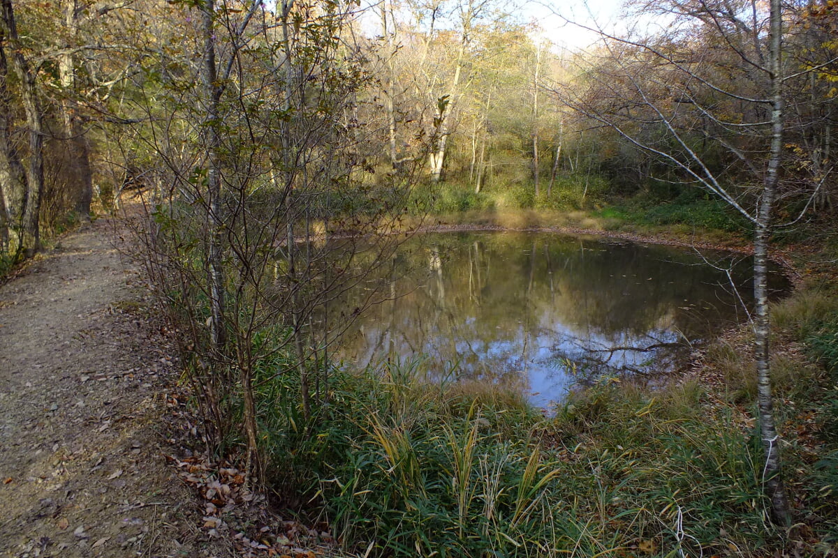 兵庫県立やしろの森公園の写真 ©松岡明芳(CC BY-SA 4.0)