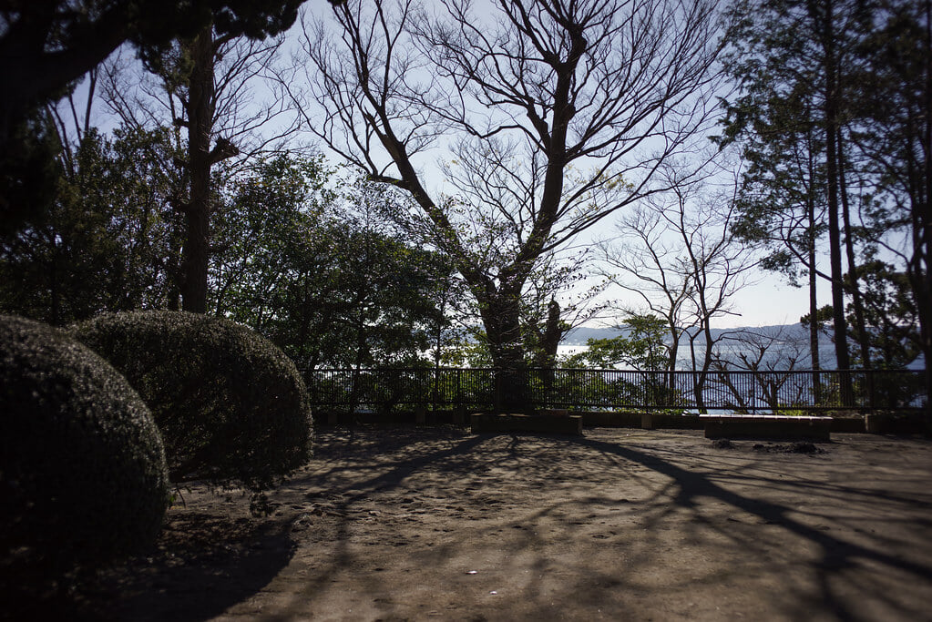 大福寺の写真 ©sunoochi(CC BY 2.0)