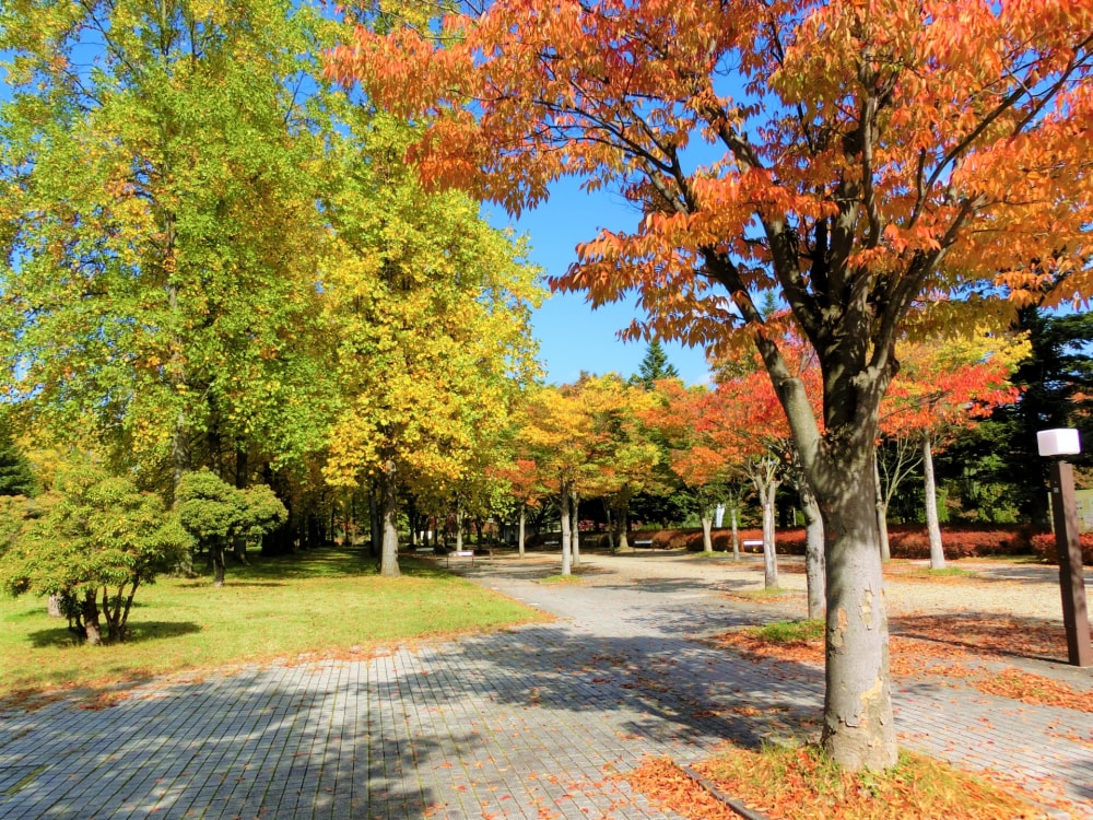 山形県総合運動公園の写真 