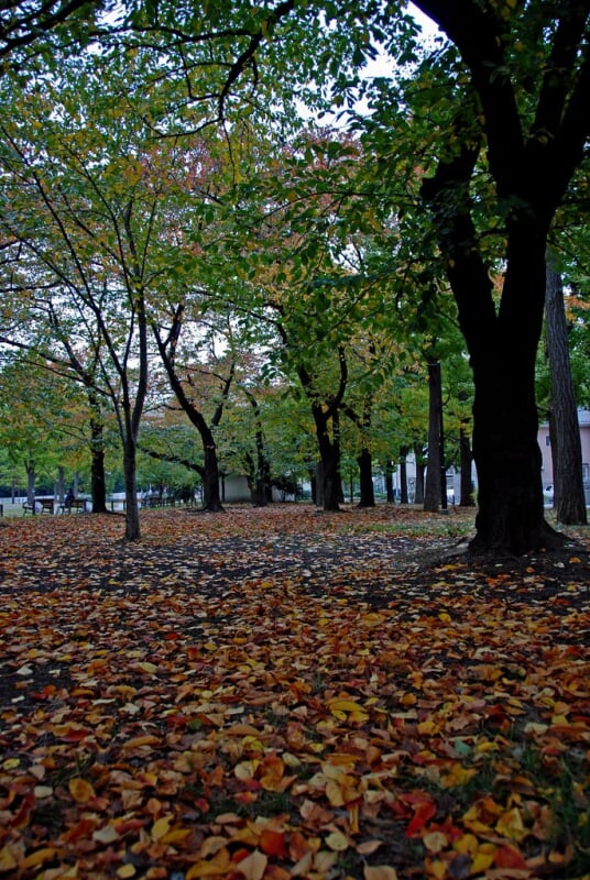 蒔田公園の写真 ©naitokz(CC BY-ND 2.0)
