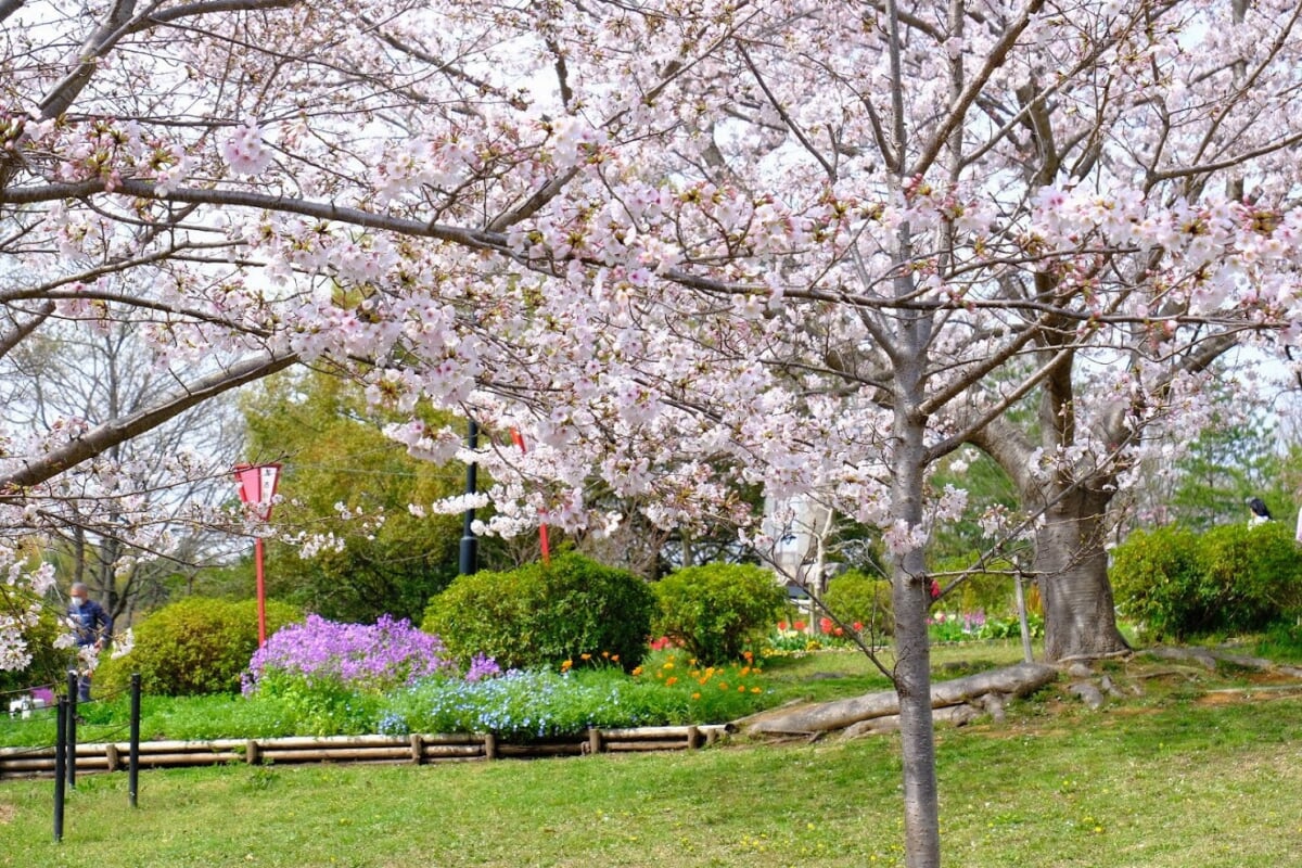 日岡山公園の写真 