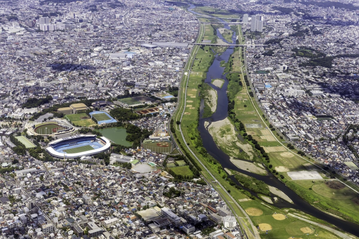 多摩川緑地・諏訪いこいの広場の写真 