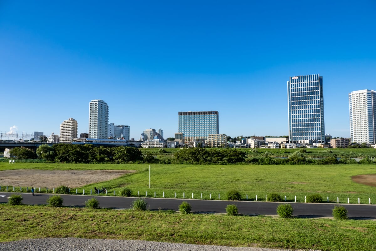 多摩川緑地・諏訪いこいの広場の写真 