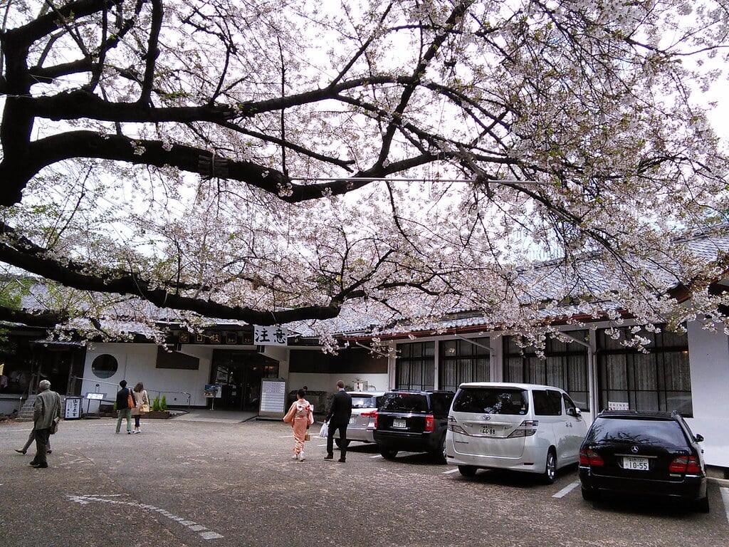 桜坂の写真 ©Junichi Yamashita(CC BY-SA 2.0)