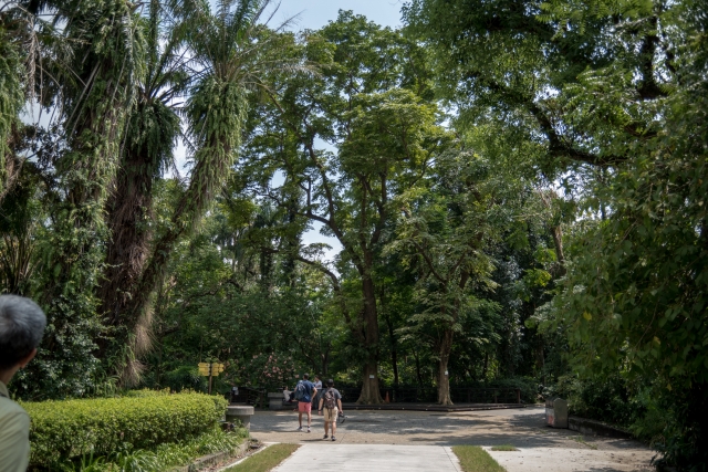 [台北植物園では亜熱帯植物を多く見る事ができる]日本ではなかなか見る事の出来ない亜熱帯地域の植物を見る事ができる。<br>また園内に生える木々には野生の動物も生息しており、台湾リスや珍しい小動物、鳥などを見つけられます。