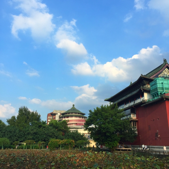 台北植物園の画像