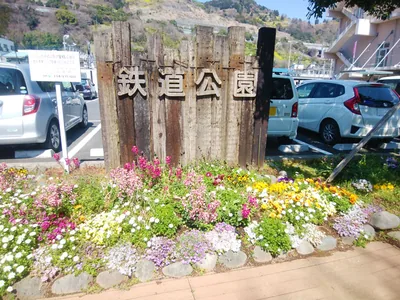 山北鉄道公園の桜の開花状況と駐車場・桜まつり