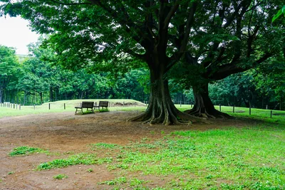 横浜の大きな公園に行こう！市内にある総合公園まとめ8選