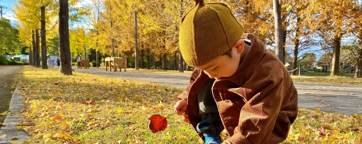 🍁 紅葉の名所＆秋の絶景ドライブ