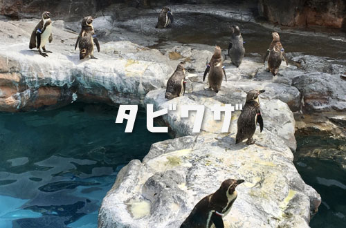氷の水族館
