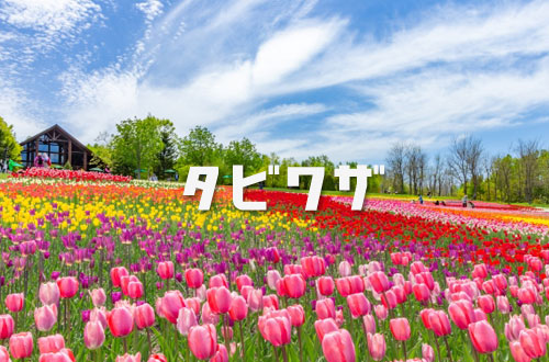 池峯もみじの郷の写真1
