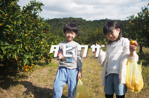栗脇農園の写真1