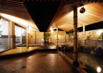 極楽湯(茨木店)の写真1