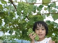 雅秋園