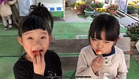 いちごハウス木場