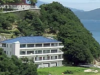 歯ART美術館