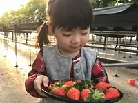 まる甚農園