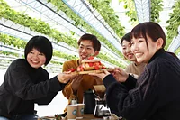 GREENARIUM awajishima
