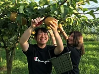 大川三世代