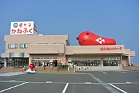 めんたいパーク大洗